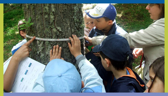 Sport, Cultura, Avventura