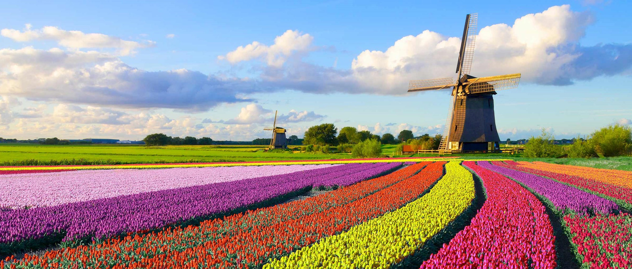 turismo scolastico: Paesi Bassi